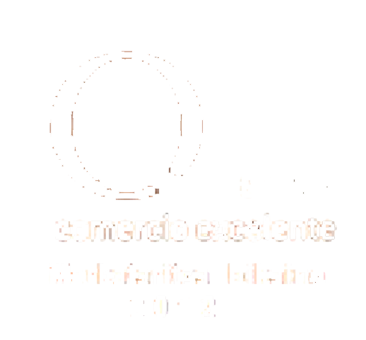 Q_COMERCIO_EXCELENTE-removebg-preview-1